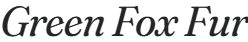 Green Fox Fur Logo